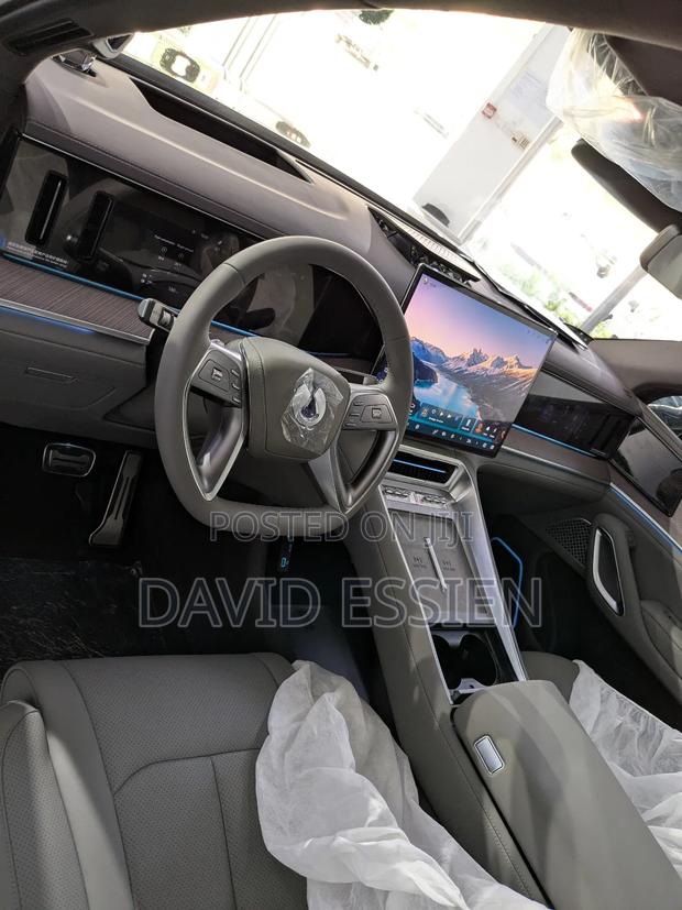New Denza N9 2.0 Hybrid AWD 2025 Black