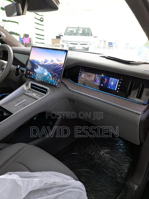 New Denza N9 2.0 Hybrid AWD 2025 Black
