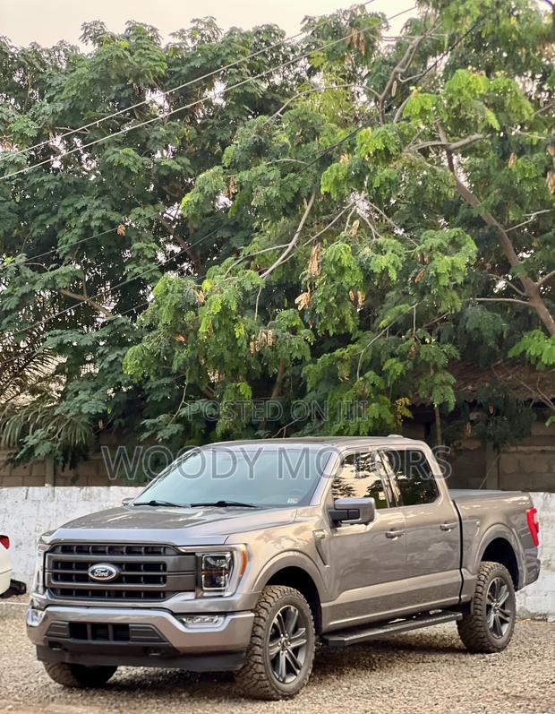 Ford F-150 LARIAT 2021 Gray