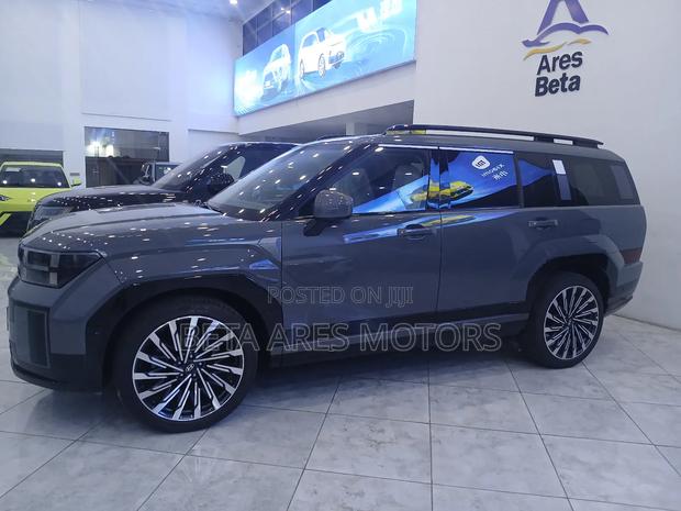 New Hyundai Santa Fe Calligraphy 2024 Gray