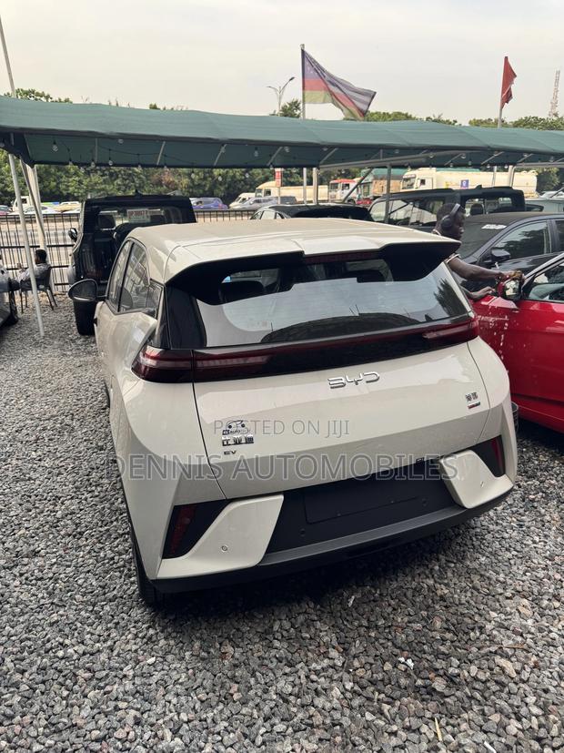New BYD Seagull 2025 White