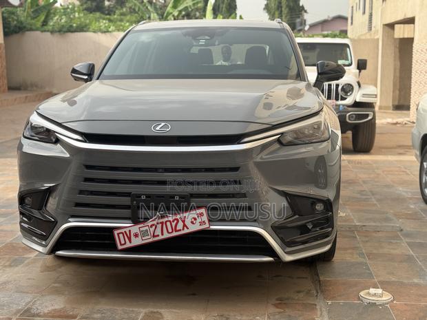 Lexus TX 2024 Gray