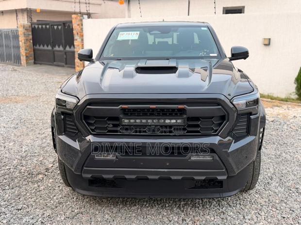 Toyota Tacoma 2024 Gray