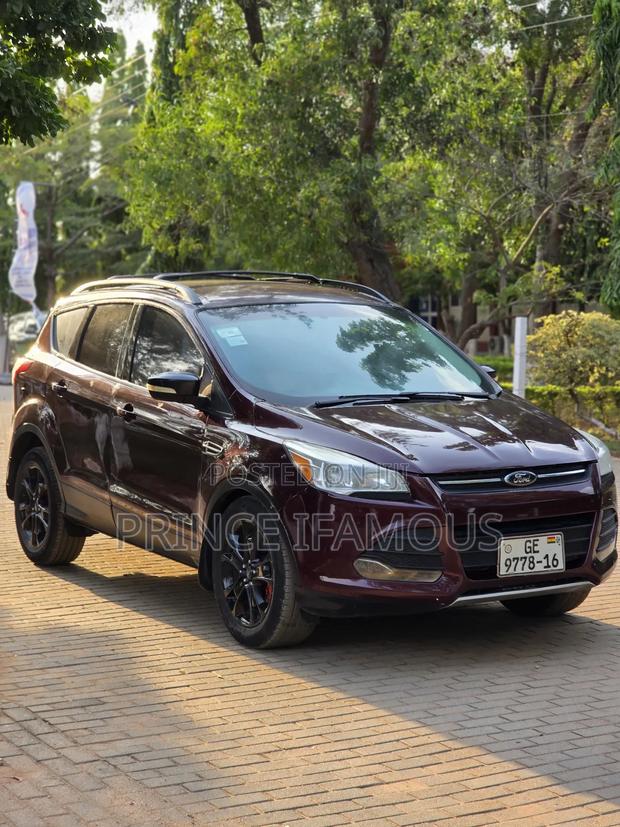 Ford Escape SE 2013 Burgundy