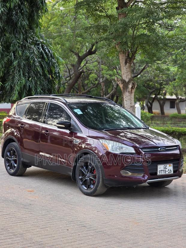 Ford Escape SE 2013 Burgundy