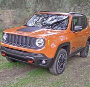 Jeep Renegade 2019 Orange for sale