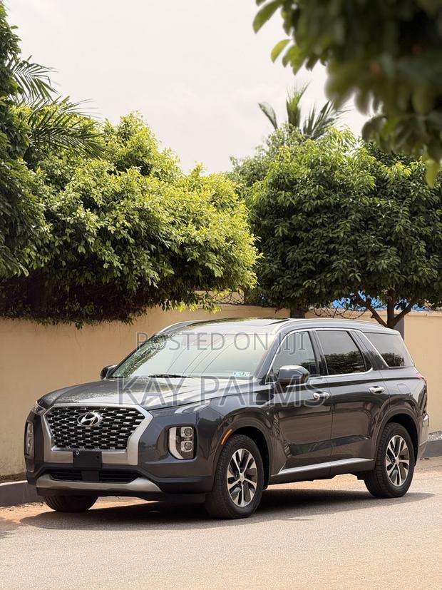 Hyundai Palisade 2020 Gray