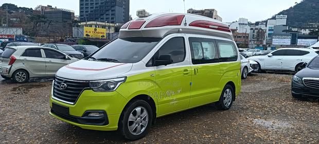 Hyundai H1 2019 Green