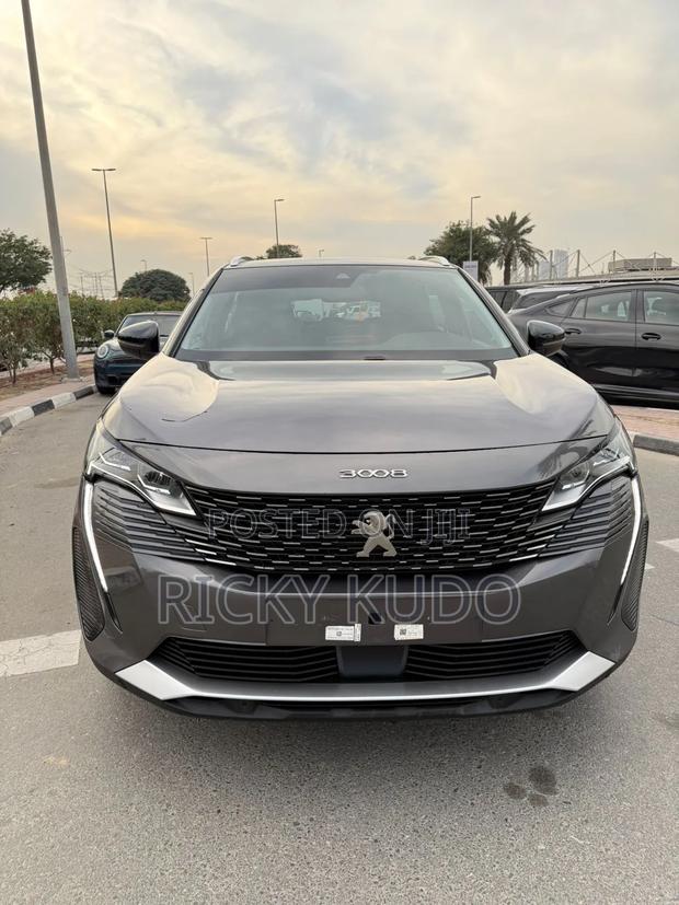 Peugeot 3008 2023 Gray