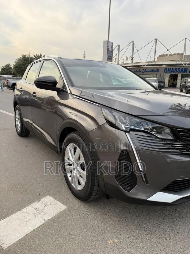 Peugeot 3008 2023 Gray