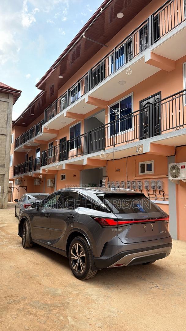 Lexus RX 350h AWD 2024 Gray
