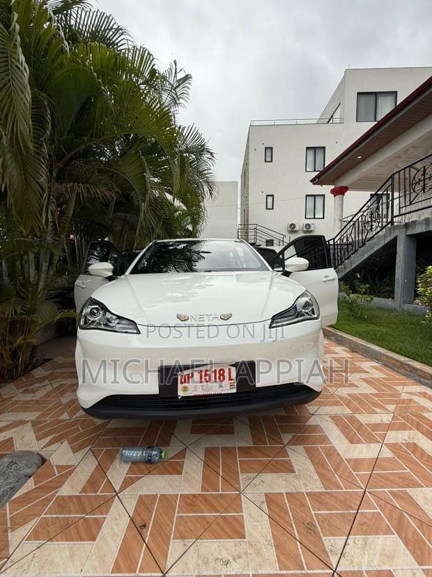 Hozon Neta V 2021 White