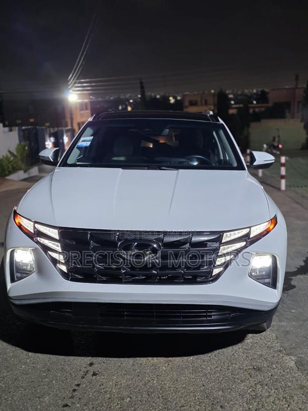 Hyundai Tucson Limited 2024 White