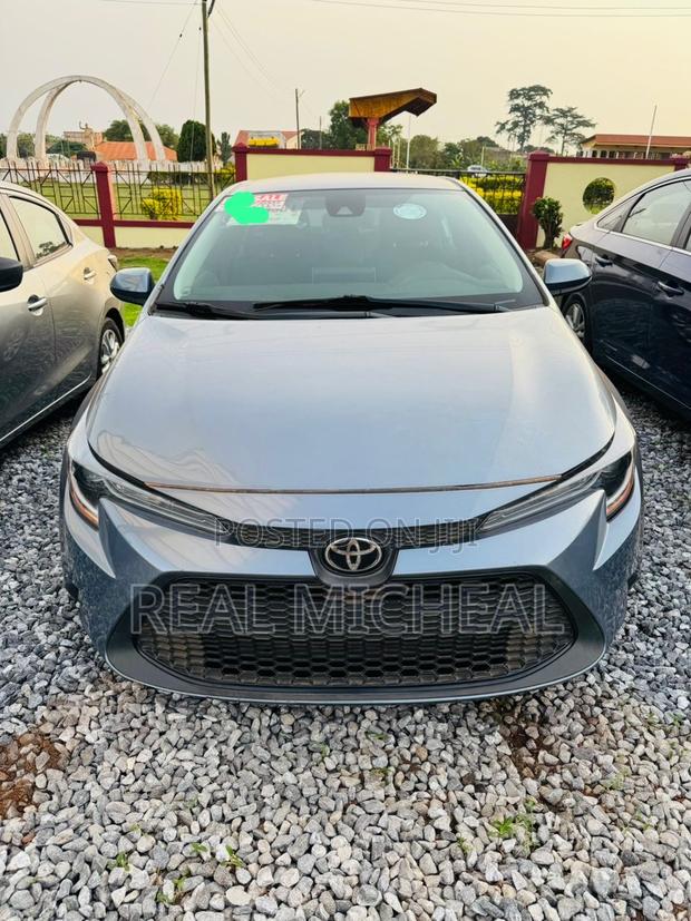 Toyota Corolla LE 2020 Gray