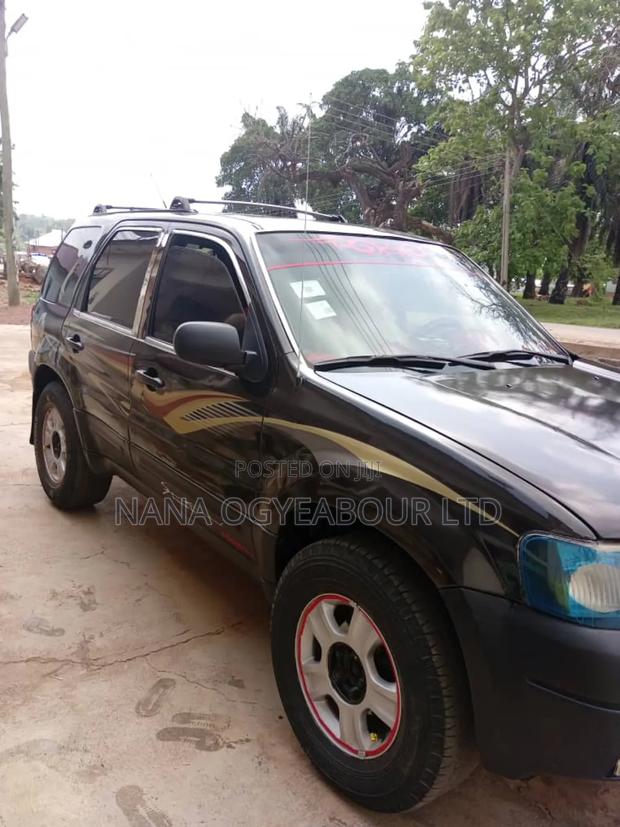 Ford Escape Limited 2010 Gray
