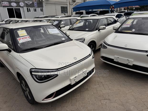 New Dongfeng Nammi 01 2025 White