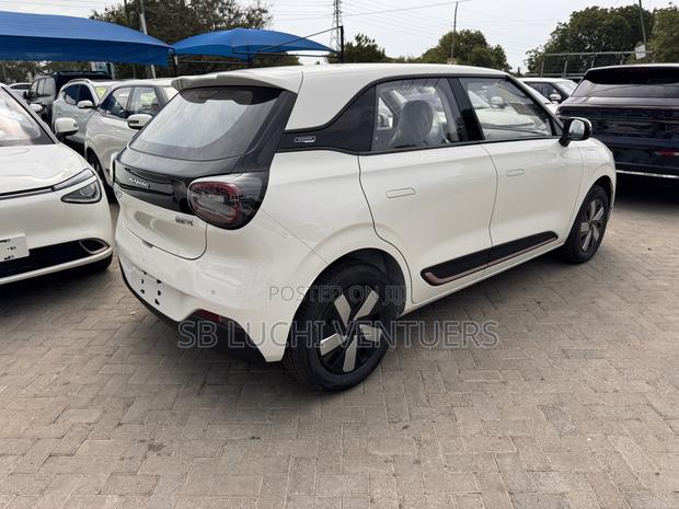 New Dongfeng Nammi 01 2025 White