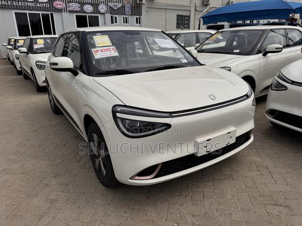 New Dongfeng Nammi 01 2025 White