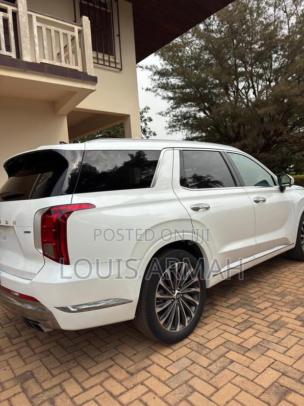 Hyundai Palisade Calligraphy 2023 White