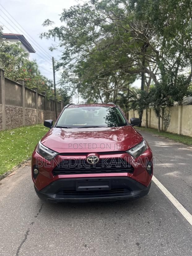 Toyota RAV4 LE AWD 2019 Burgundy