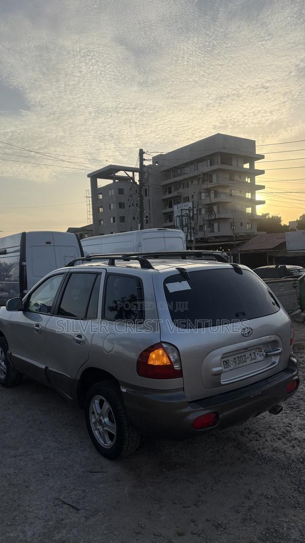 Hyundai Santa Fe 2005 Gray