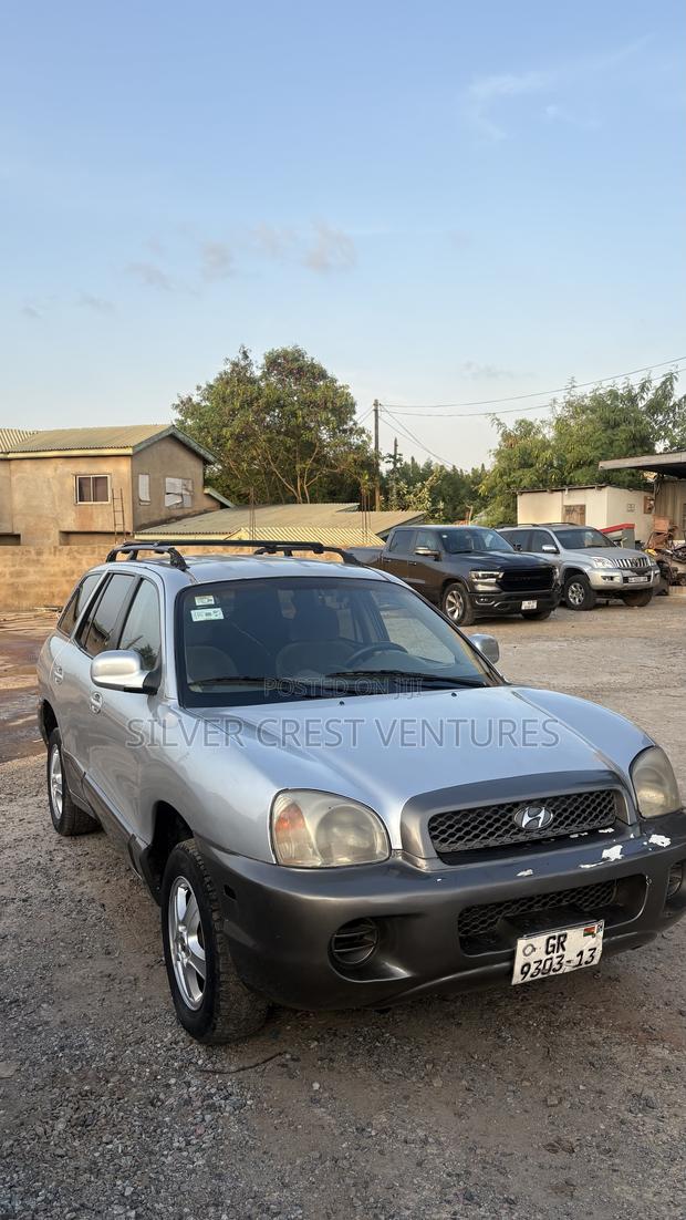 Hyundai Santa Fe 2005 Gray