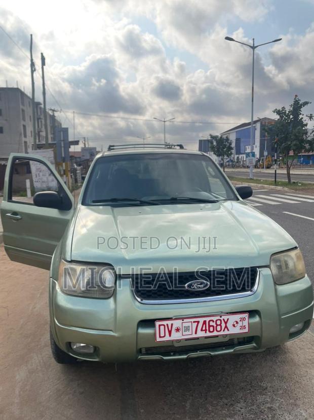 Ford Escape 2008 Green
