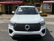 Great Wall King Kong Poer 2025 White for sale