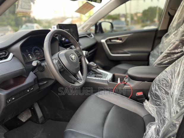 Toyota RAV4 Limited AWD 2024 Gray