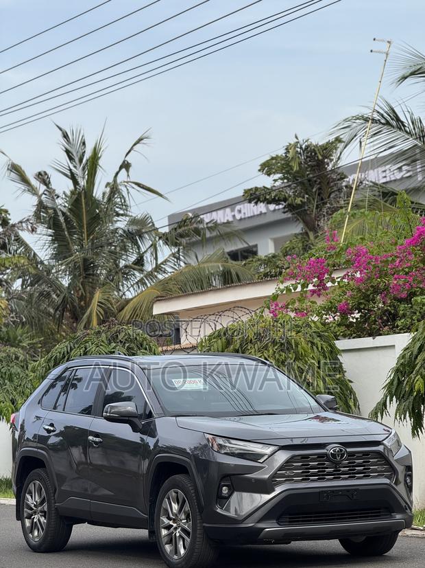 Toyota RAV4 Limited AWD 2023 Gray