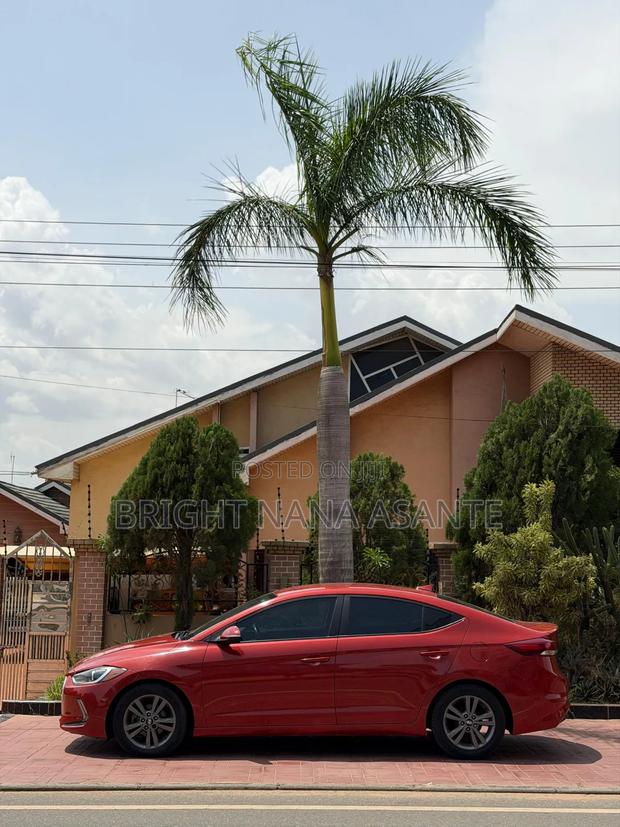 Hyundai Elantra 2017 Orange