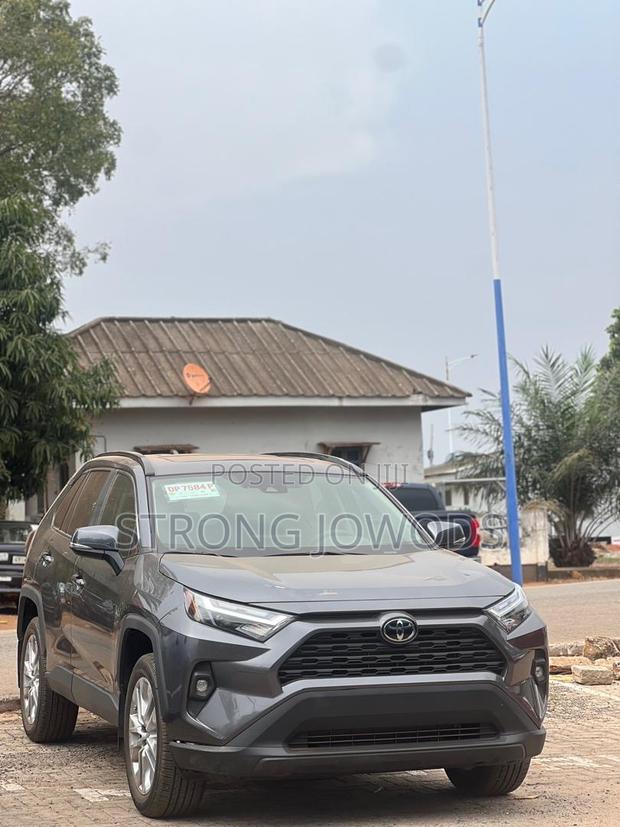 Toyota RAV4 XLE AWD 2024 Gray