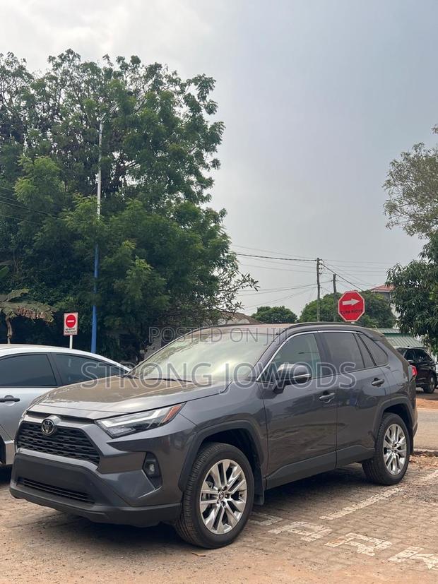 Toyota RAV4 XLE AWD 2024 Gray