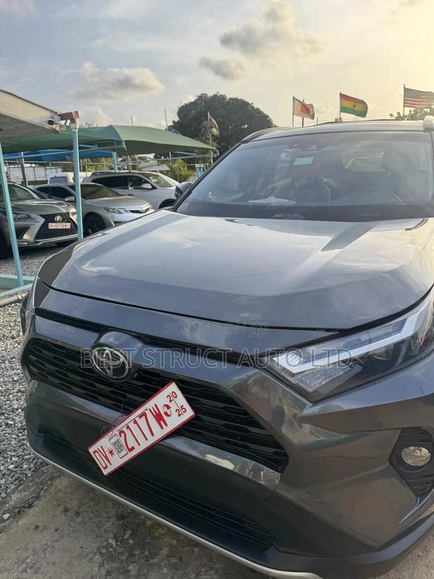 Toyota RAV4 XLE AWD 2024 Gray