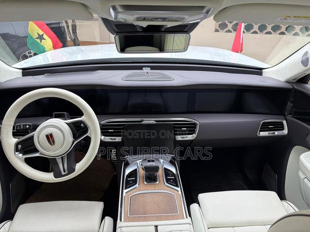 Hongqi E-HS9 2021 Gray