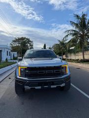 Ford F-150 Raptor 2023 Silver for sale