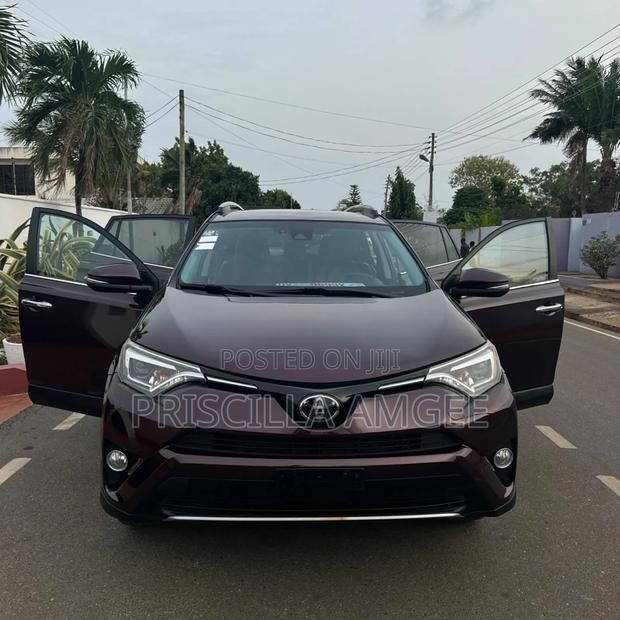 Toyota RAV4 Limited 4dr SUV AWD (2.5L 4cyl 6A) 2018 Brown