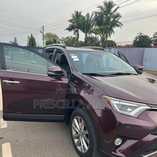 Toyota RAV4 Limited 4dr SUV AWD (2.5L 4cyl 6A) 2018 Brown