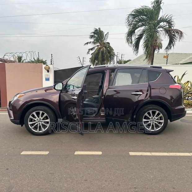 Toyota RAV4 Limited 4dr SUV AWD (2.5L 4cyl 6A) 2018 Brown