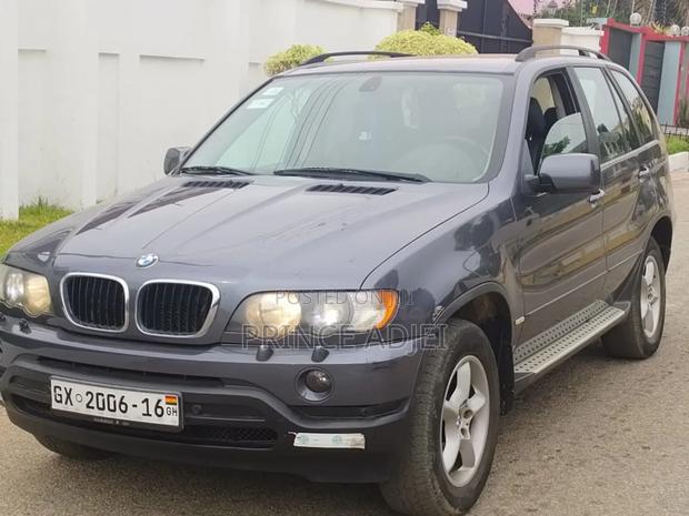 BMW X5 xDrive30d 2010 Gray