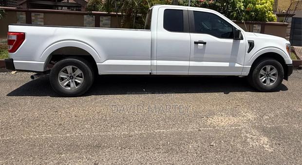 Ford F-150 2021 White