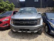 Ford F-150 Raptor 2023 Silver for sale