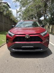 Toyota RAV4 LE AWD 2019 Red for sale