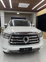 New Great Wall King Kong Poer 2025 White for sale