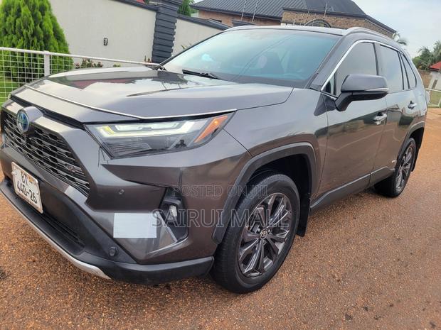 Toyota RAV4 Hybrid 2022 Gray