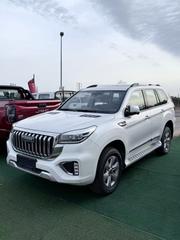 Haval H9 2022 White for sale