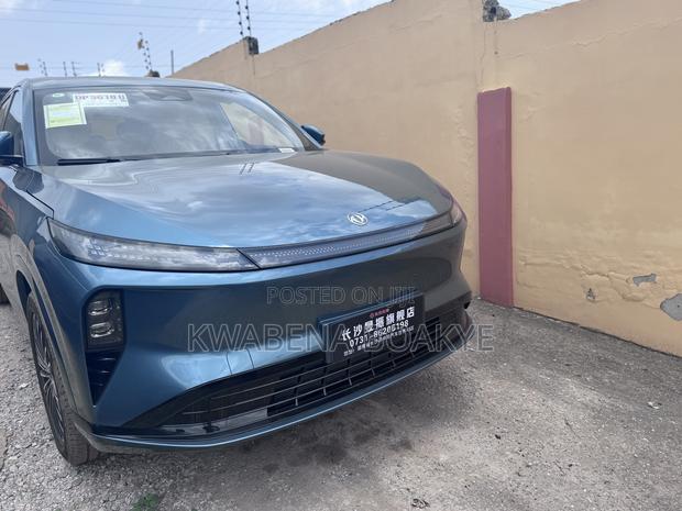 New Dongfeng Captain 2025 Green