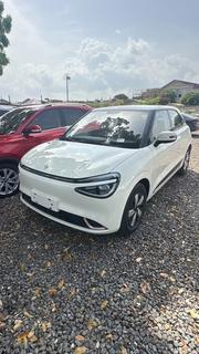 New Dongfeng Nammi 01 2025 White for sale