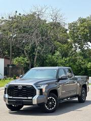 Toyota Tundra 2024 Gray for sale