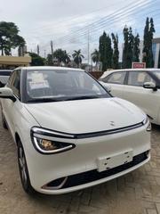New Dongfeng Nammi 01 31.45 kWh 330 Plus 2025 Off white for sale